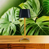 Lampe de Chevet à LED Sans Fil Rechargeable